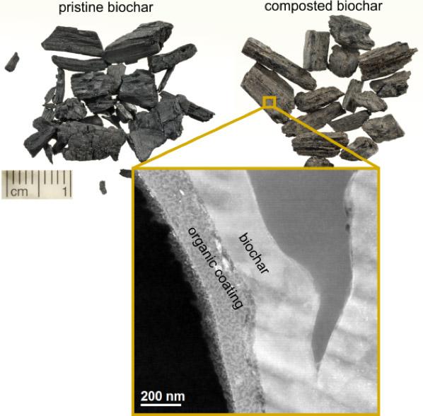Biochar Illustration