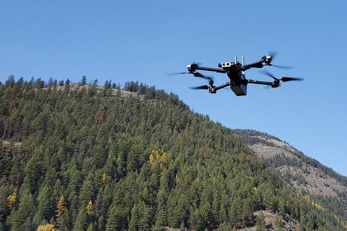 Drone-mounted sensors sense fire and electrical arcing