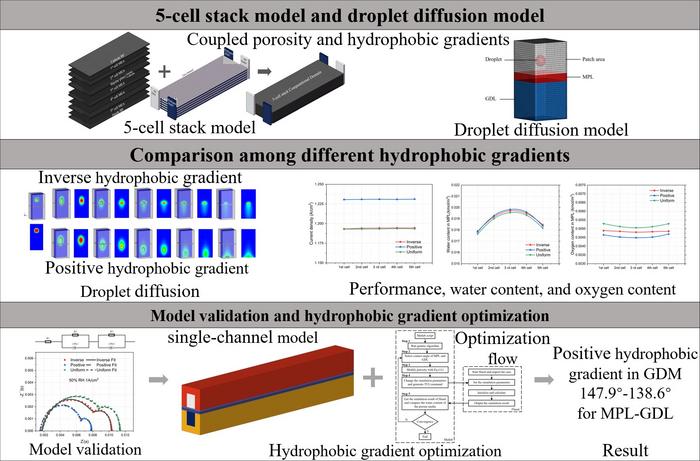 Effect of GDM hydrophobicity gradient on water transport in PEMFC