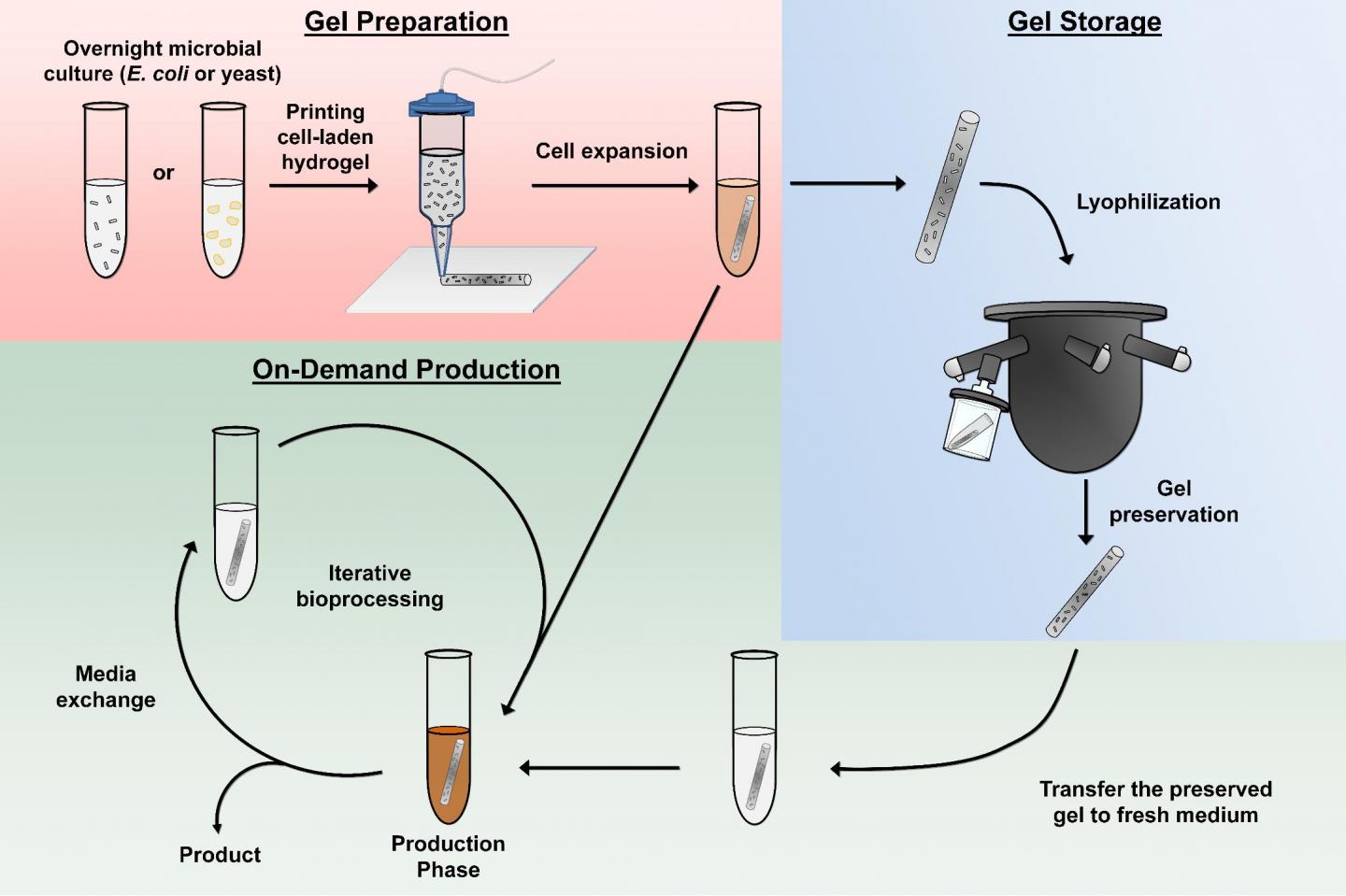 Hydrogel System Infographic