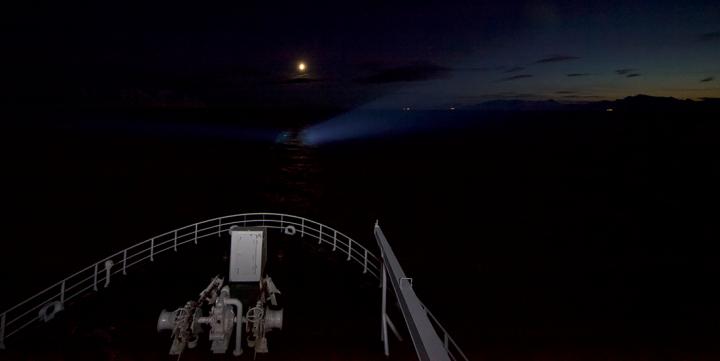 Arctic light pollution affects fish