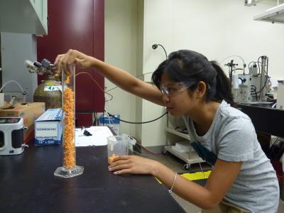 Snowballs to Soot: The Clumping Density of Many Things Seems to Be a Standard