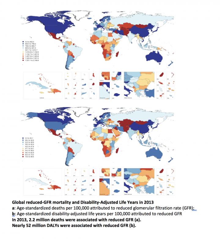 Deaths and Disability-Adjusted Life Years Linked with Kidney Function