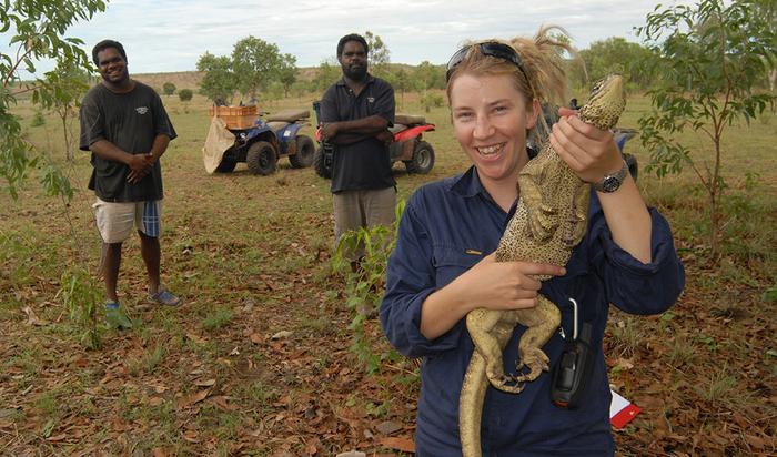 Goannas in the Wild