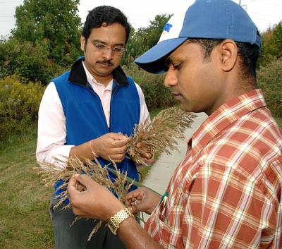 Harsh Bais and Thimmaraju Rudrappa, University of Delaware