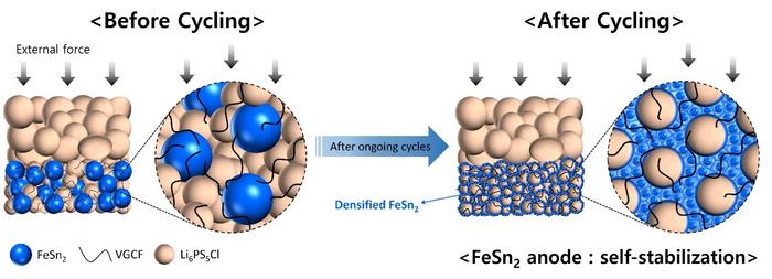 [Figure3]