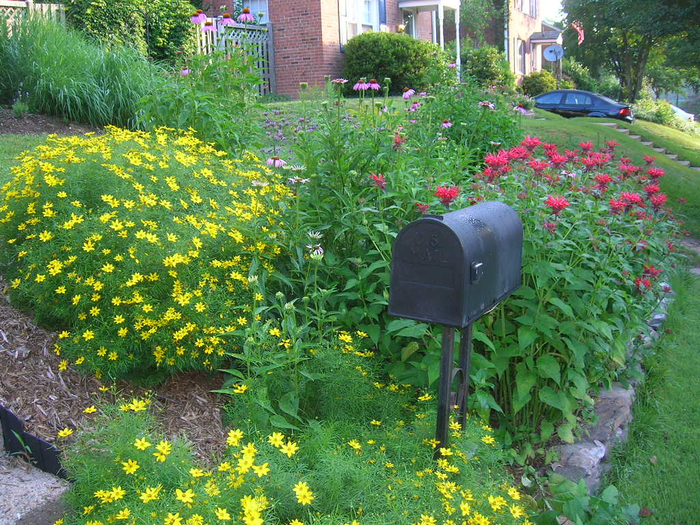 Enhancing bird diversity with gardening.