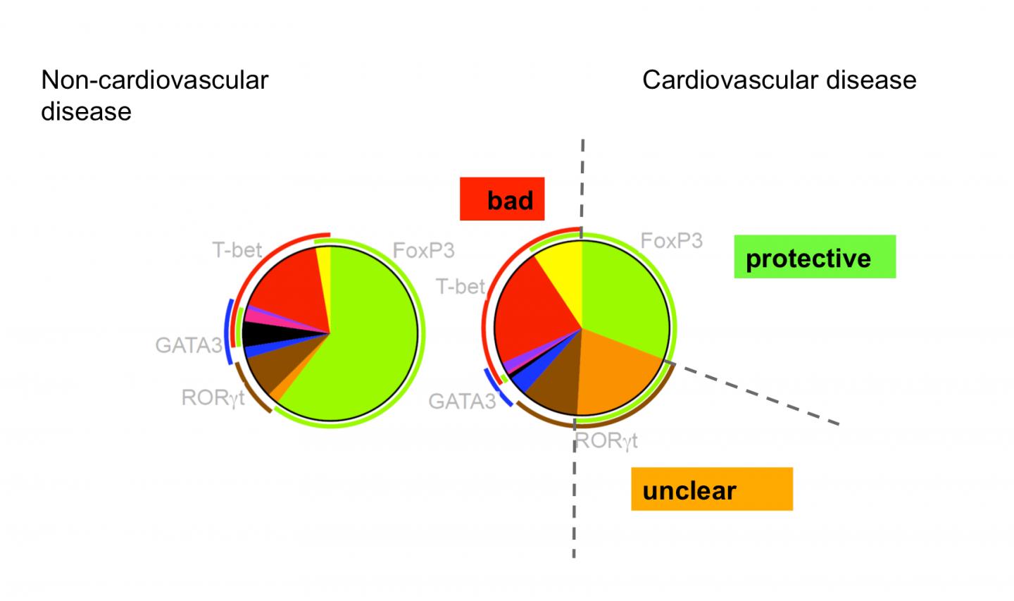 Regulatory T cells in Cardiovascular Disease