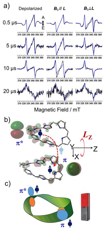 Shedding Light on a Cyclic Molecule with a Twist (2 of 2)