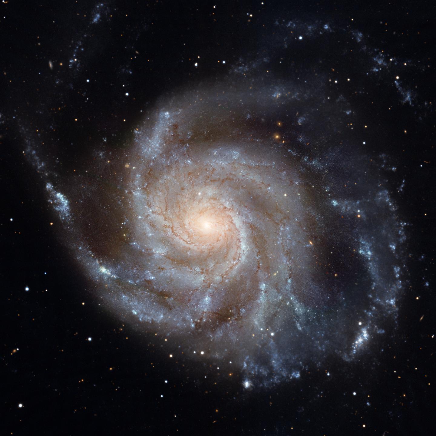 Spiral structure in the Pinwheel Galaxy