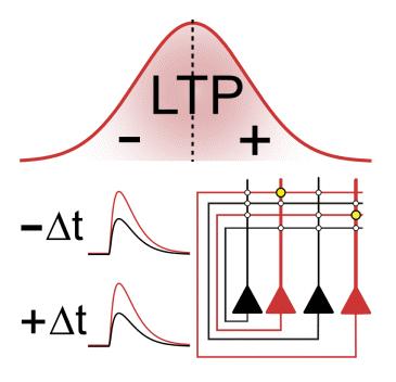 New Learning Rule for Pattern Completion