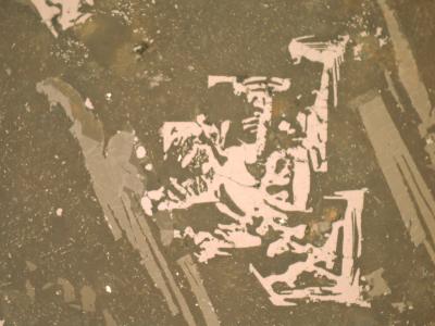 Reminder of a Griffin Rampant in an Ancient Martian Meteorite