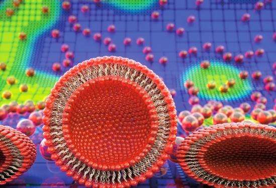 Model of Vesicle Adhesion