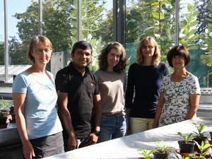 The team behind the research (from left to right):