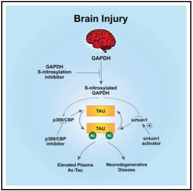 Graphical Abstract