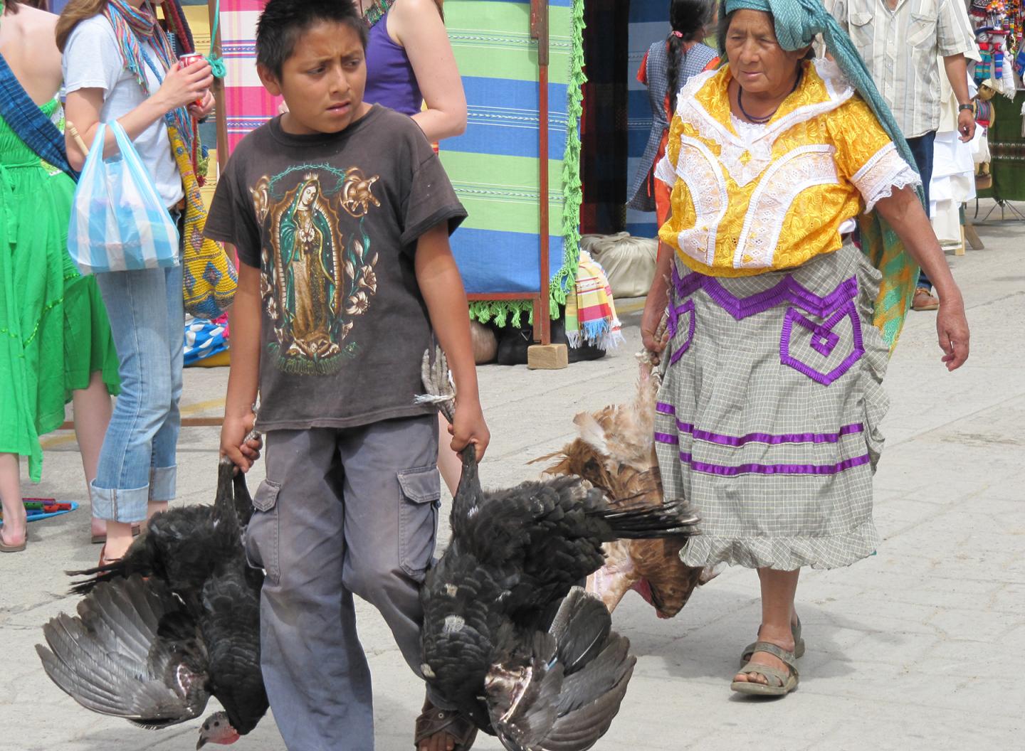 Boy with Turkeys in Oaxaca Today