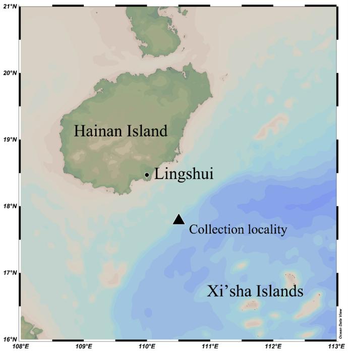 The collection location of Branchiostegus sanae.