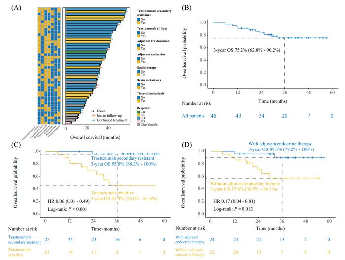 Estimates of overall survival