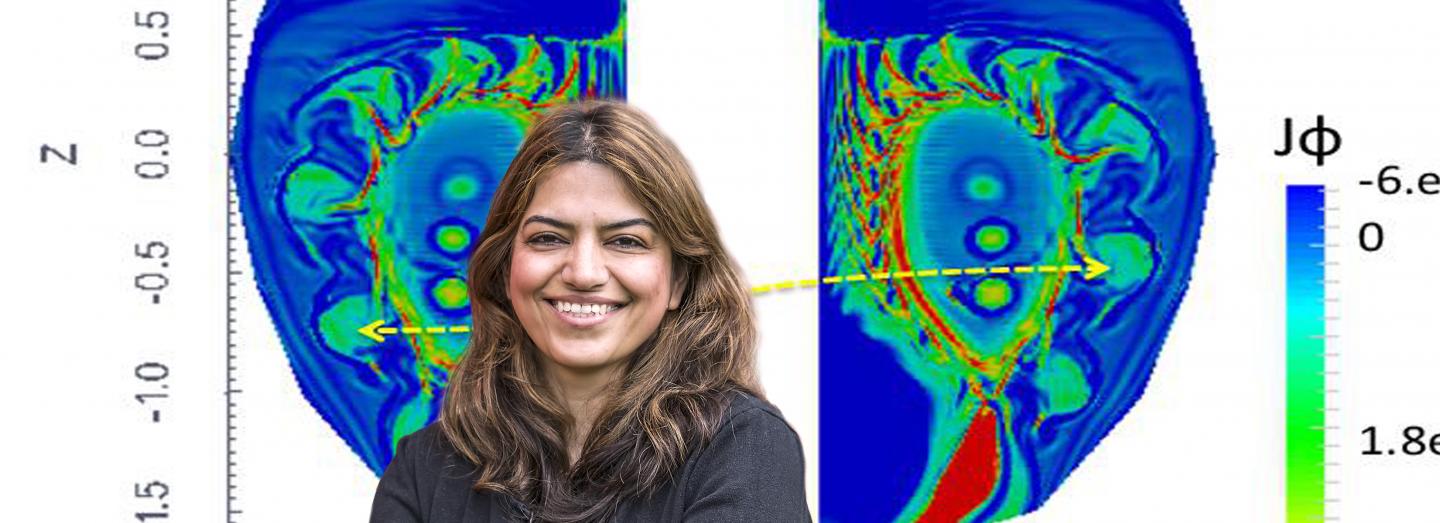 Fatima Ebrahimi, Princeton Plasma Physics Laboratory