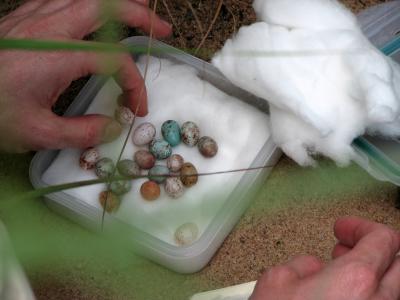 Setting up Rejection Experiment