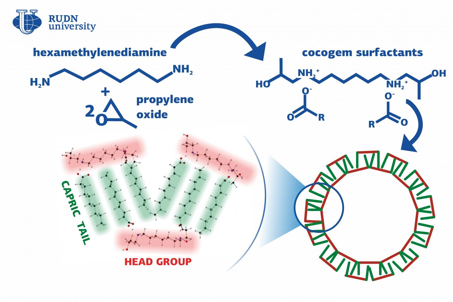 RUDN University Chemists Developed Cheap and Eco-Friendly Surfactants