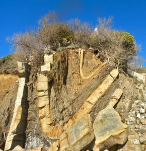 Folded layers from the Quercianella palaeontological site in Italy.