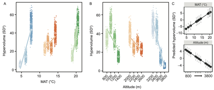 Functional trait space across 12 altitudes and corresponding temperature in Yunnan, China.