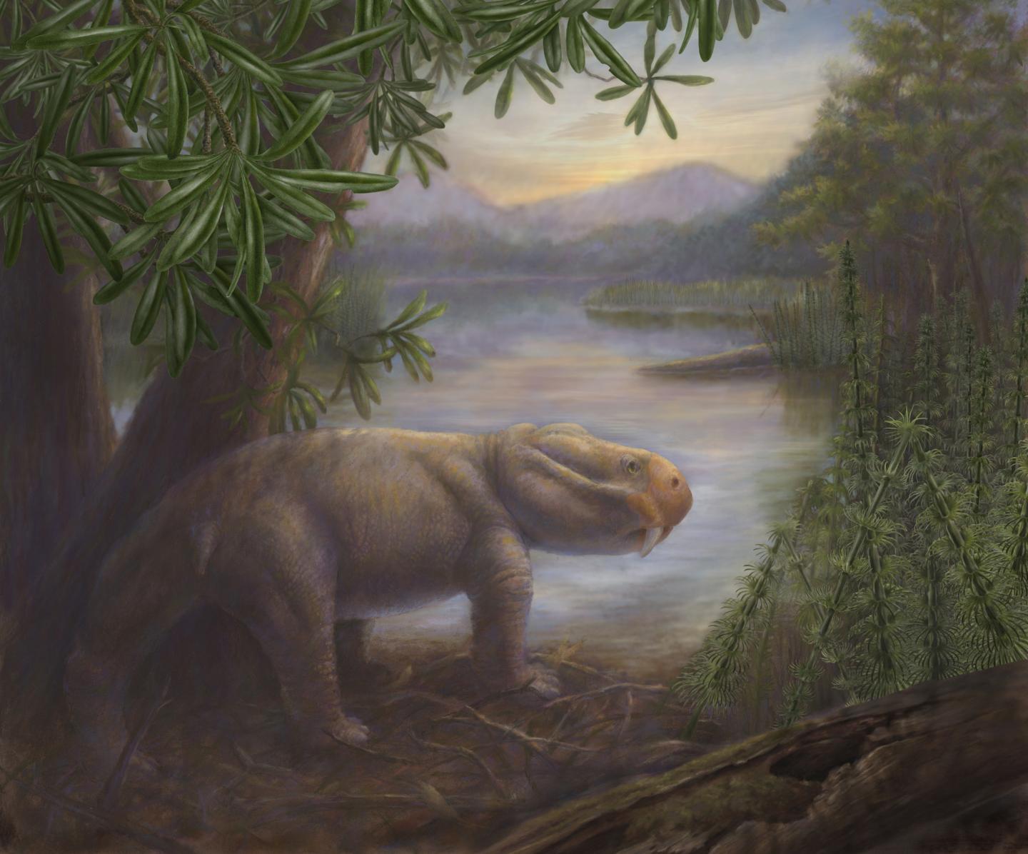 Ancient Mammal <em>Lystrosaurus</em>