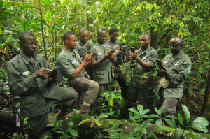 Rangers in a tropical rain forest