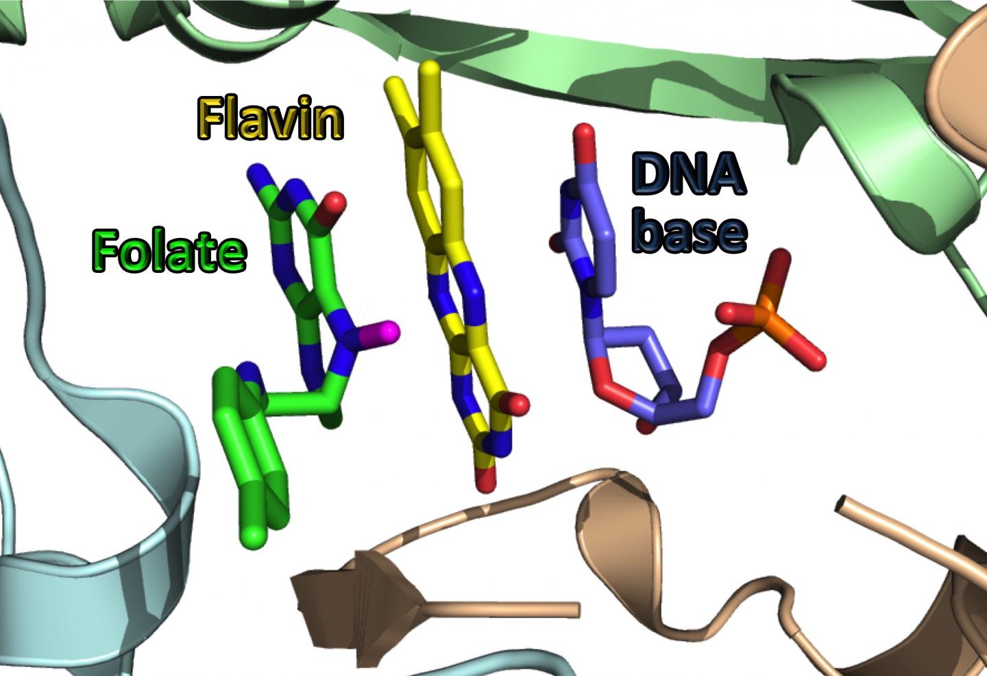 Chemistry of a Disease