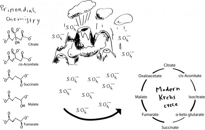 An Enzyme-Free Krebs Cycle May Have Been Key Step in Origin of Life on a Harsh, Volcanic Earth Four 