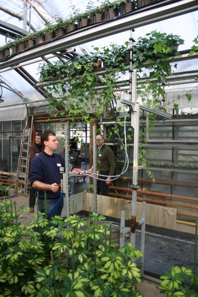 Spray Application Rate, Equipment Affect Pest Management in Greenhouse Ivy Plants
