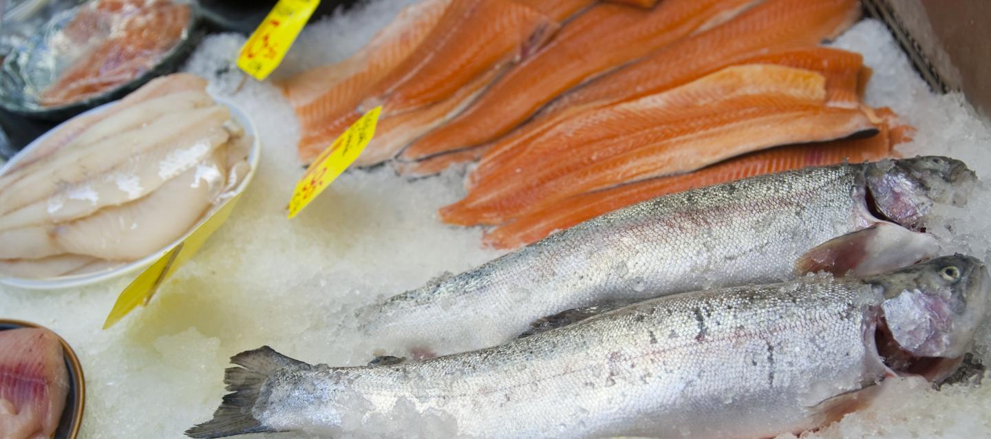 Eating Fatty Fish Increases the Size and Composition of HDL Particles