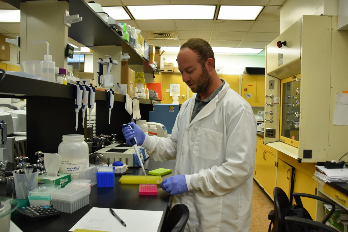 UTEP-led Team Aiming to Understand Impacts of Hybridization