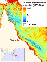A Map of Sea Surface Temperature Anomalies