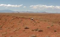 Person Walking in the Great Basin Desert Study Site