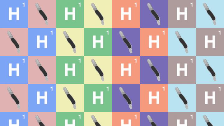 Bacterium-Hydrogen Graphic