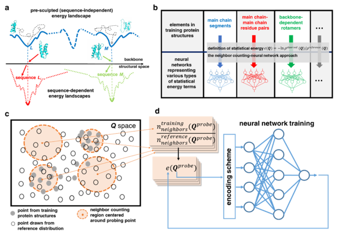 USTC Researchers Develop a Method Named SCUBA for Protein Design