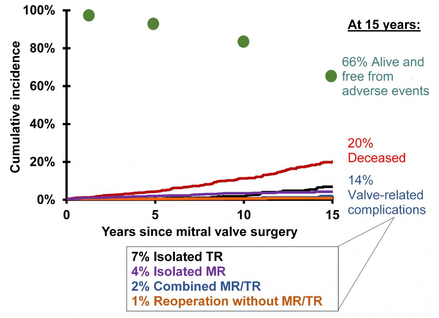 Older Patients with Atrial Fibrillation at Greater Risk for Post-Op Tricuspid Regurgitation After Mitral Valve Repair