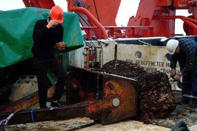 Jonathan Snow Discovers Ancient Mantle Rock