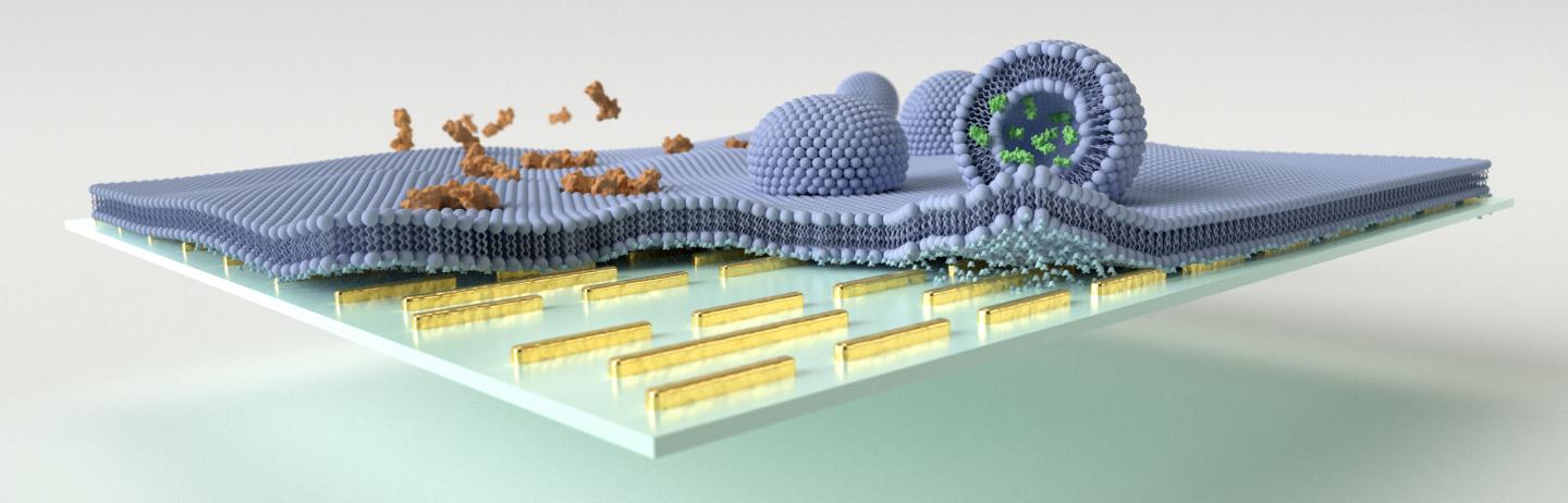 Nanophotonic Label-Free Biosensor for Chemically Distinguishing Multiple Analytes in Biological Samp