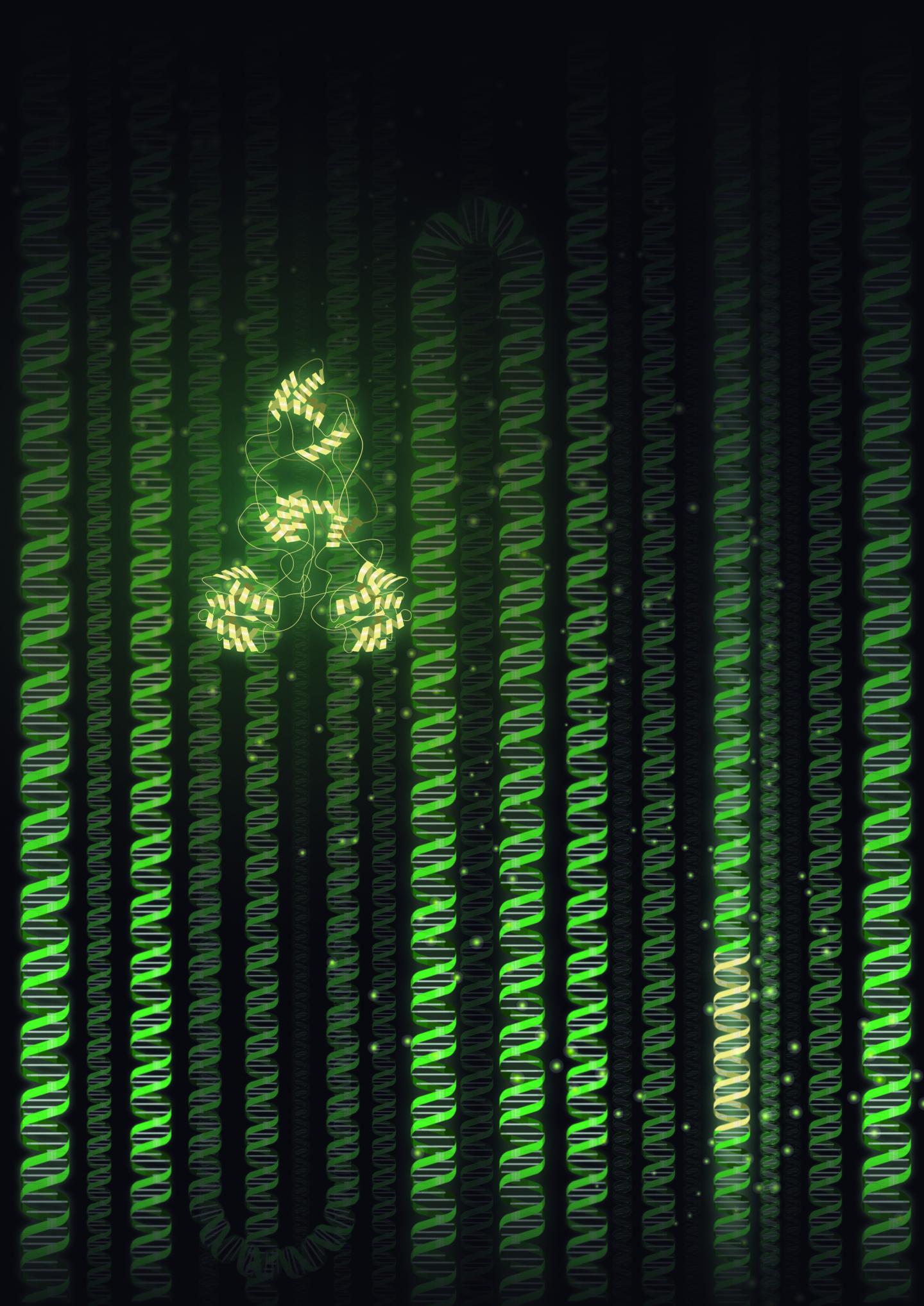 New Possibilities for Gene Therapies