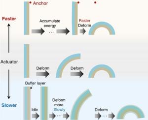 Bioinspired strategies for artificial actuators