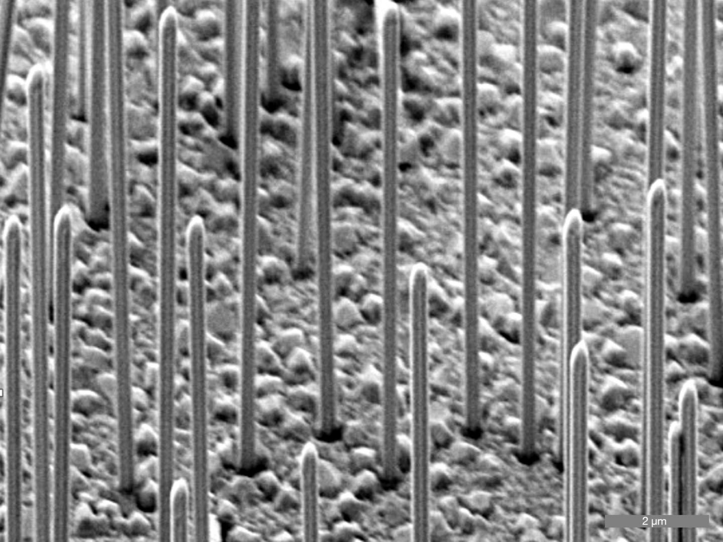 GaAs-Nanowires on a Silicon Surface