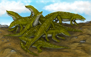 A reconstruction