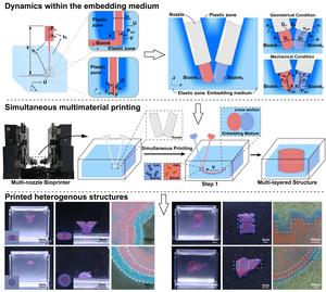 Simultaneous multi-material embedded printing for 3D heterogeneous structures