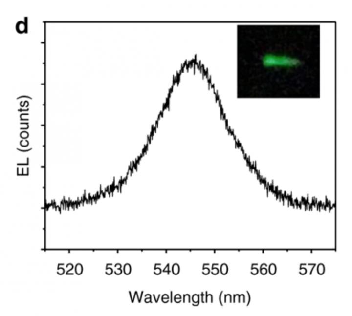Spintronic LED Using Perovskite