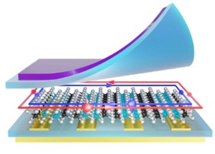 A dual quantum spin Hall insulator