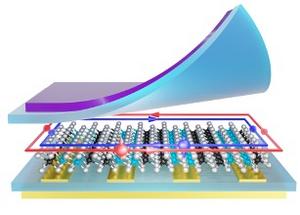 A dual quantum spin Hall insulator