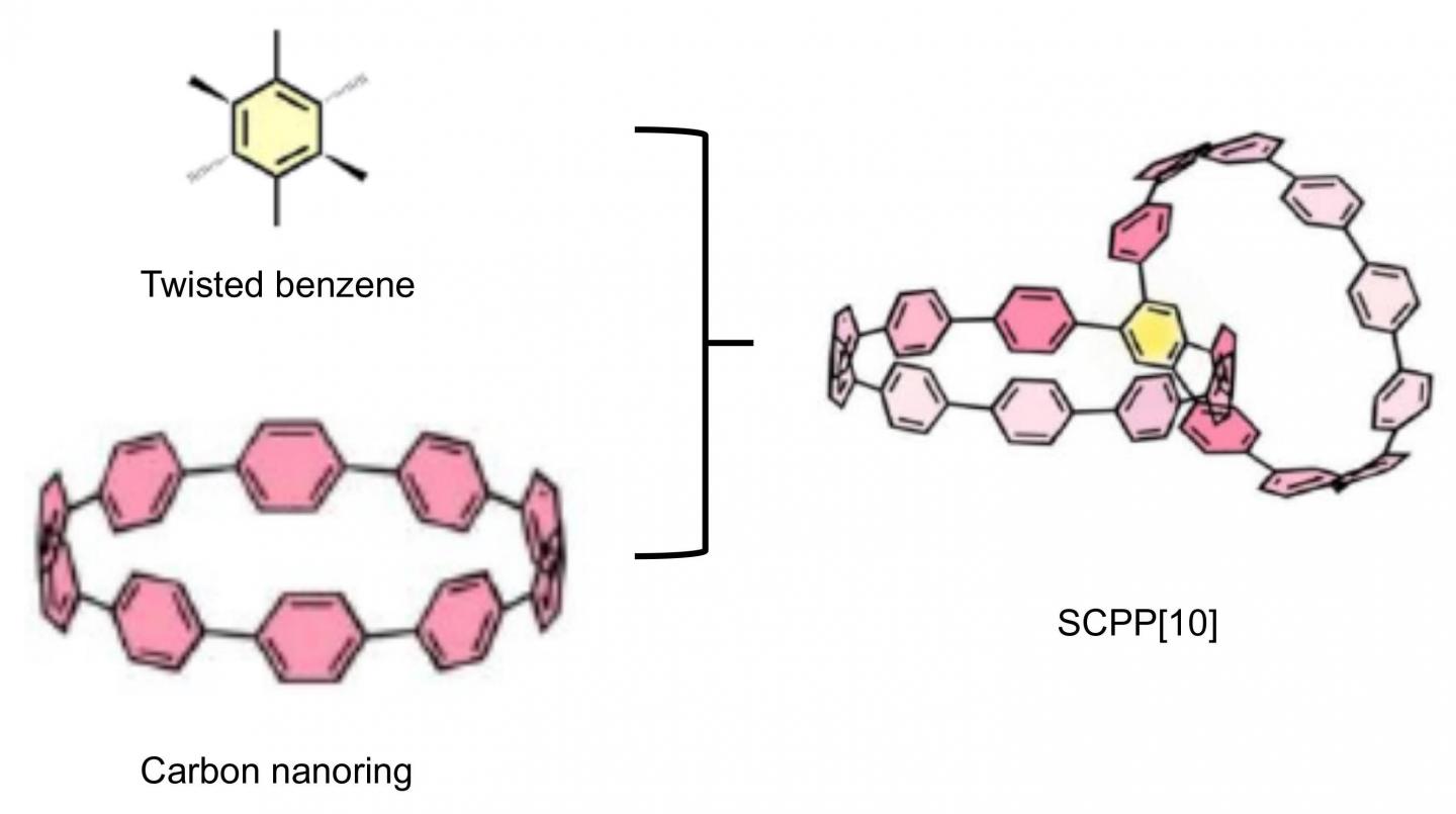 A Highly Strained All-Phenylene Siamese-Twin Bismacrocycle